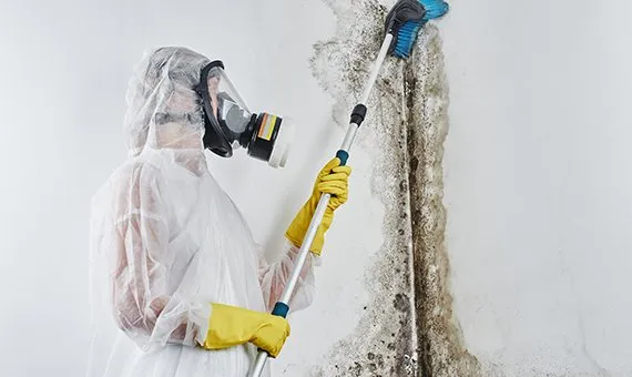 Mold Remediation